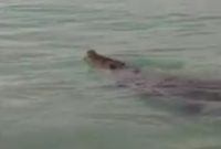 Tangkapan layar (inikepri)