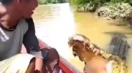 (Instagram/@agoez_bandz4)