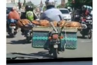 (Instagram/@makassar_iinfo)