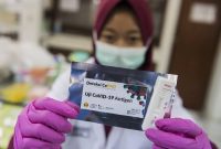 (M Agung Rajasa/ANTARA FOTO)