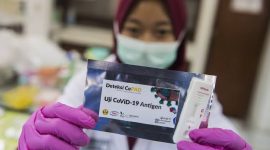 (M Agung Rajasa/ANTARA FOTO)