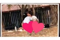 (ViralPress via The Sun)