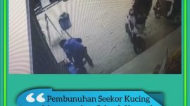 (Instagram @semuatentangbatam)