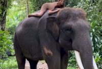 (Instagram/@kafelnikova_a)