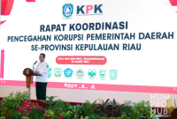 Gubernur Kepri Ansar Ahmad (ist)