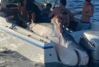 (Facebook/Port Hacking)