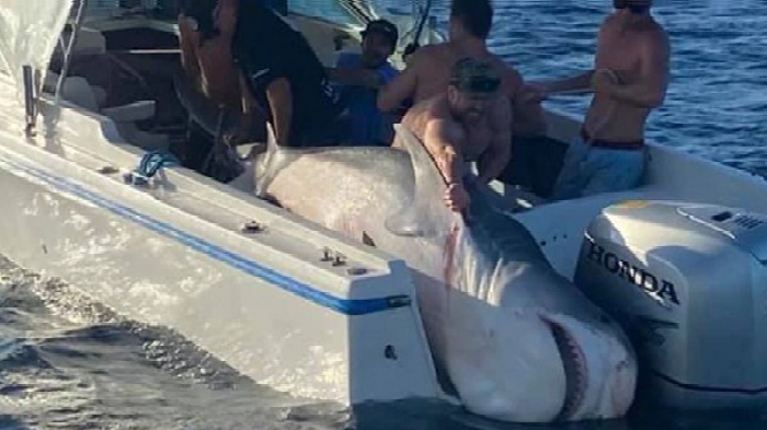 (Facebook/Port Hacking)