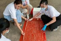 (ViralPress via Daily Mail)