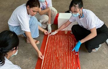 (ViralPress via Daily Mail)