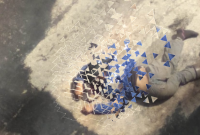 Korban Petrick Natanael Sitompul (ist)