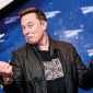 Elon Musk (ist)