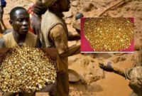 Gunung Emas di Kongo. (Foto: Unilad/ist)