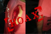 (tangkapan layar video)