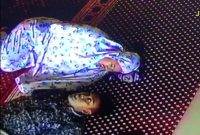 (Instagram @jayalah.negriku)