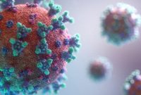  (Unsplash/Fusion Medical Animation)