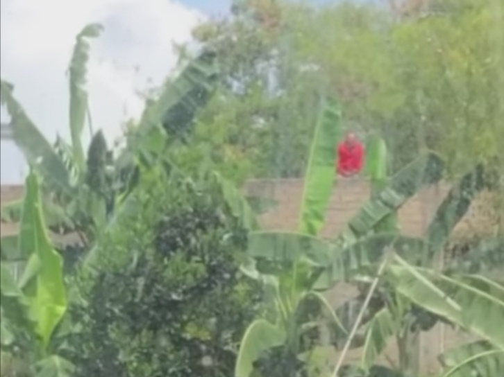 (Foto/tangkapan layar/@semuatentangbatam)