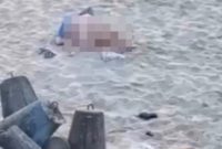 (DOK/News Dog Media)