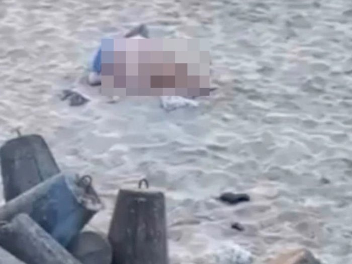 (DOK/News Dog Media)