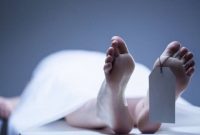 (Foto:ist/ilustrasi)