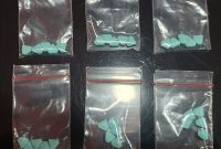 (Foto: Humas Polresta Barelang)