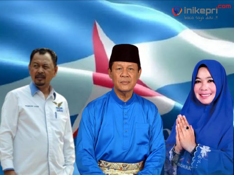 (Foto: INIKEPRI.COM)