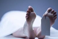 Ilustrasi mayat / Foto: Istimewa