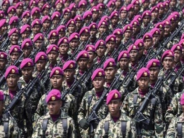 Korps marinir TNI AL / Foto: Istimewa