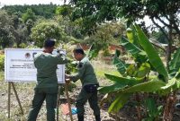 Polisi Kehutanan memasang plang di sekitar kediaman anggota DPRD Bintan / Foto: ANTARA