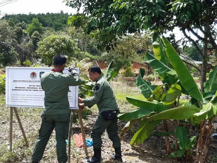 Polisi Kehutanan memasang plang di sekitar kediaman anggota DPRD Bintan / Foto: ANTARA