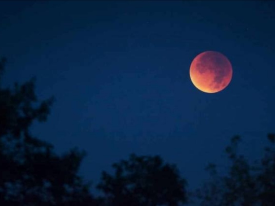 Ilustrasi gerhana bulan. Foto: Istimewa