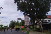 Dinas Perumahan Rakyat, Kawasan Permukiman dan Pertamanan Kota Tanjungpinang membutuhkan alat tambahan berupa skylift untuk pemotongan kayu lapuk yang berada di tepi jalan. Foto: Istimewa