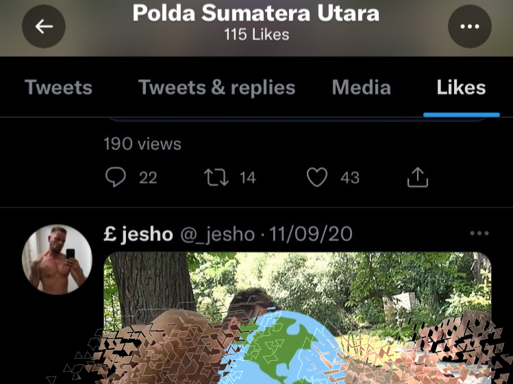 Tangkapan layar akun @polisisumut / Foto: Twitter @NaCl100persen