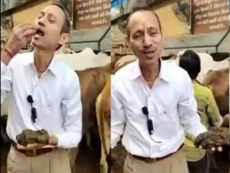 Dokter di India makan kotoran sapi. Foto: MINEWS.ID