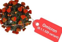 Ilustrasi virus COVID-19 varian Omicron. Foto: SHUTTERSTOCK