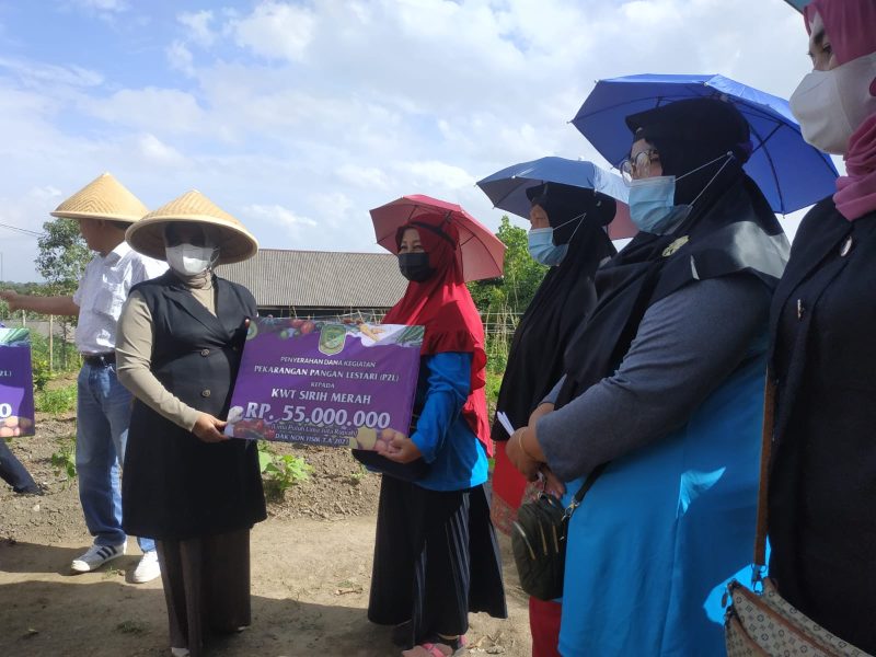 Pemerintah Kota Tanjungpinang melalui Dinas Pertanian Pangan dan Perikanan (DP3) Kota Tanjungpinang menyalurkan bantuan untuk lima Kelompok Wanita Tani (KWT). Foto: Istimewa