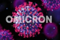 Ilustrasi virus Omicron. Foto: Istimewa