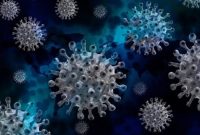 Ilustrasi virus COVID-19. Foto: PIXABAY