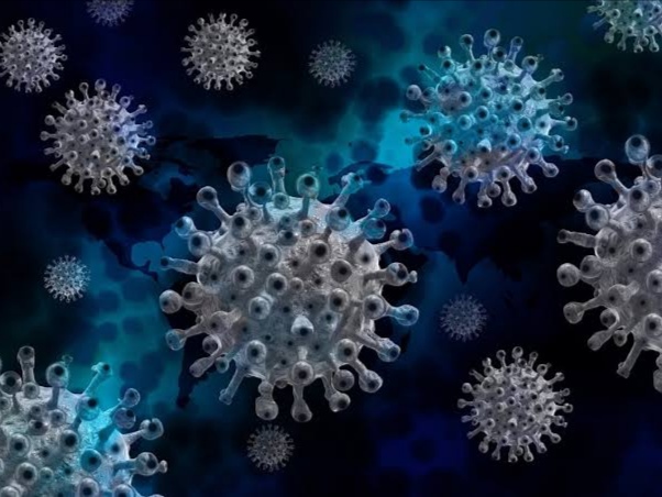 Ilustrasi virus COVID-19. Foto: PIXABAY
