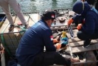 Penyidik Penegakkan Hukum Kementerian Lingkungan Hidup dan Kehutanan bersama KSOP Khusus Batam menerapkan pasal pidana berlapis terhadap Nakhoda Kapal SB Cramoil Equity yang mengangkut limbah tanpa izin ke Indonesia yaitu UU Lingkungan Hidup dan UU Pelayaran. Foto: ANTARA