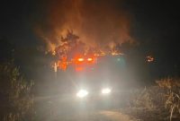 Dua hektare lahan kosong di Kampung Lengkuas, Kecamatan Bintan Timur, Kabupaten Bintan, Provinsi Kepulauan Riau (Kepri) ludes terbakar. Foto: ANTARA