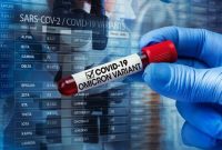 Satuan Tugas Khusus (Satgassus) Penanganan PMI menyatakan, dua Pekerja Migran Indonesia (PMI) dari Malaysia yang pulang melalui Provinsi Kepri dinyatakan positif COVID-19 varian Omicron. Foto: SHUTTERSTOCK