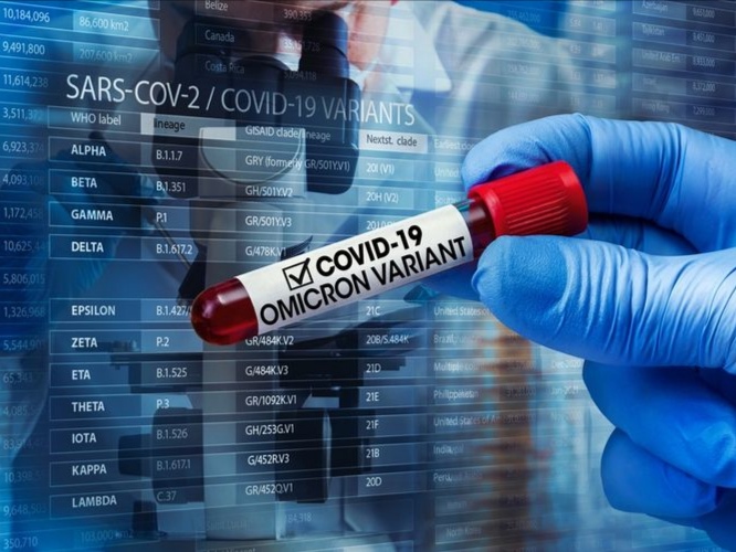 Satuan Tugas Khusus (Satgassus) Penanganan PMI menyatakan, dua Pekerja Migran Indonesia (PMI) dari Malaysia yang pulang melalui Provinsi Kepri dinyatakan positif COVID-19 varian Omicron. Foto: SHUTTERSTOCK