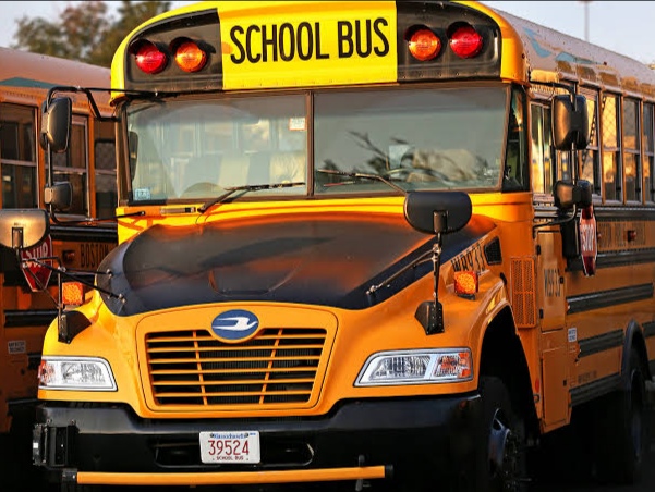 Ilustrasi bus sekolah. Foto: Istimewa