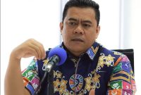 Kepala Dinas PMD Bintan Ronny Kartika. Foto: Istimewa