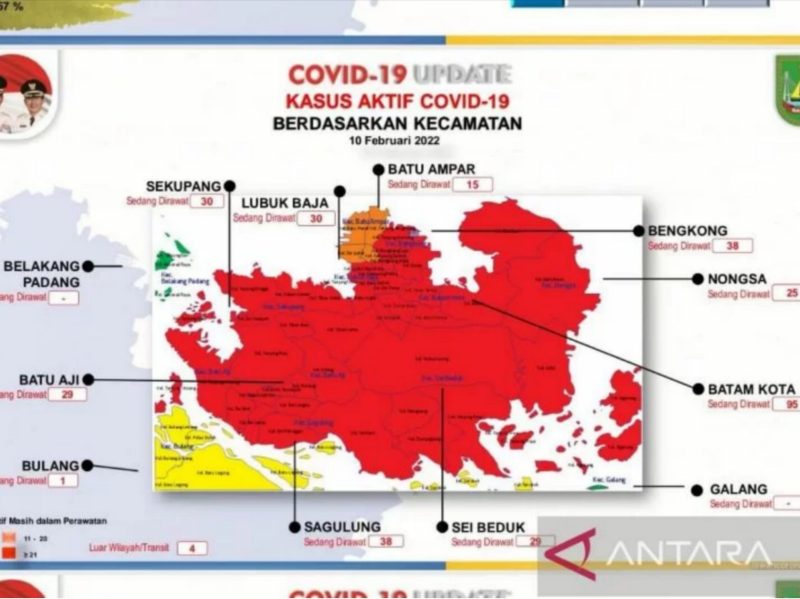 Laporan satgas COVID-19 Kota Batam. Foto: ANTARA