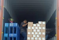 Ekspor santan organik asal Pulau Bintan, Provinsi Kepulauan Riau (Kepri), naik tiga kali lipat di awal 2022. Foto: ANTARA