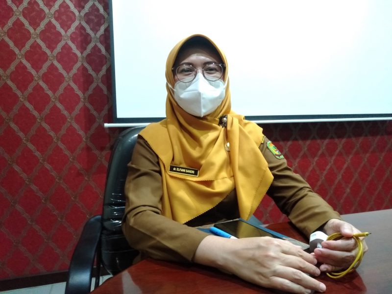 Kepala Dinas Kesehatan, Pengendalian Penduduk, dan Keluarga Berencana Kota Tanjungpinang, Elfiani Sandri. Foto: Istimewa