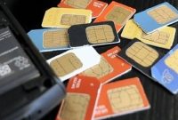 Ilustrasi. Foto: Istimewa