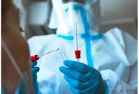 Ilustrasi. Foto: Istimewa