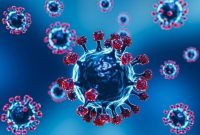 Ilustrasi. Foto: Istimewa